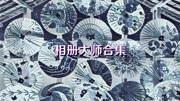 相册大师合集