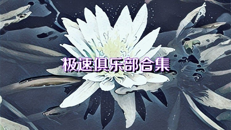 极速俱乐部合集