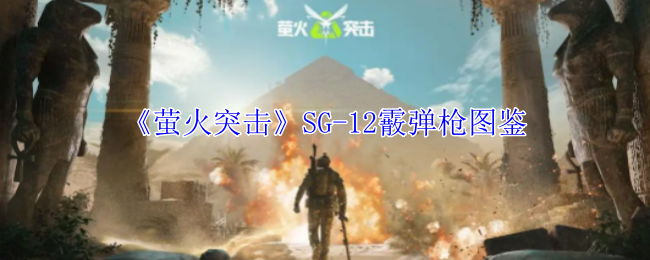 《萤火突击》SG-12霰弹枪图鉴