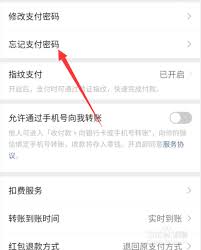 oppo微信支付密码忘记怎么找回