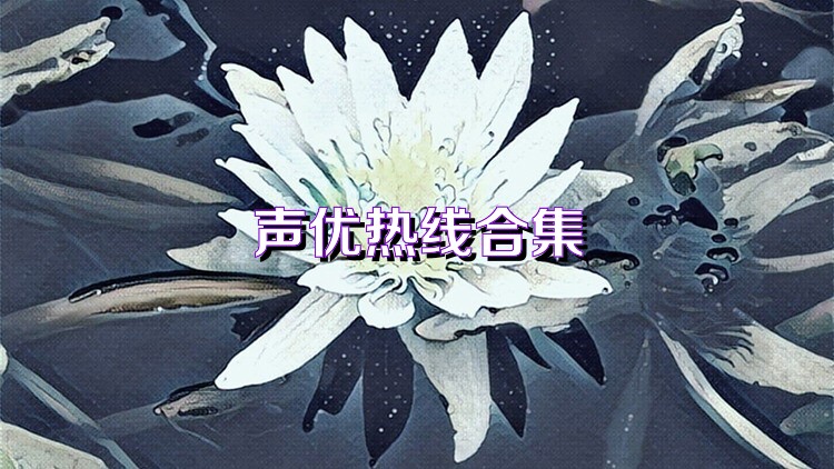 声优热线合集