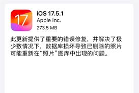 iOS18关闭验证通道