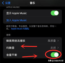 苹果手机音量小？这样增大声音