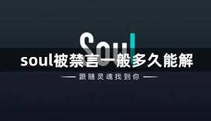 soul禁言如何解除