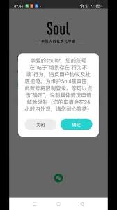 Soul什么情况下会被永久封号