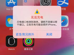 iPhone进水了怎么处理