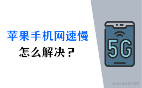 苹果手机WiFi网速慢怎么办