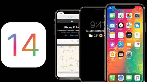 ios14支持双面容设置吗