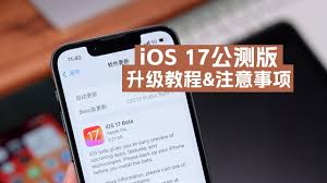 iOS17iPadOS17公测版如何升级