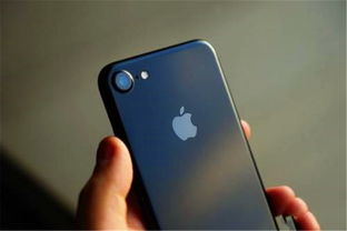 iPhone15系列功能升级期望有哪些