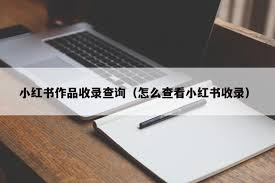 小红书笔记是否被收录查询方法