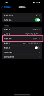 苹果手机5g网络如何切换成4g