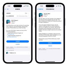 iOS Developer版与Public版差异解析 