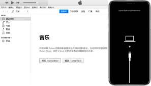 苹果手机显示iTunes怎么办