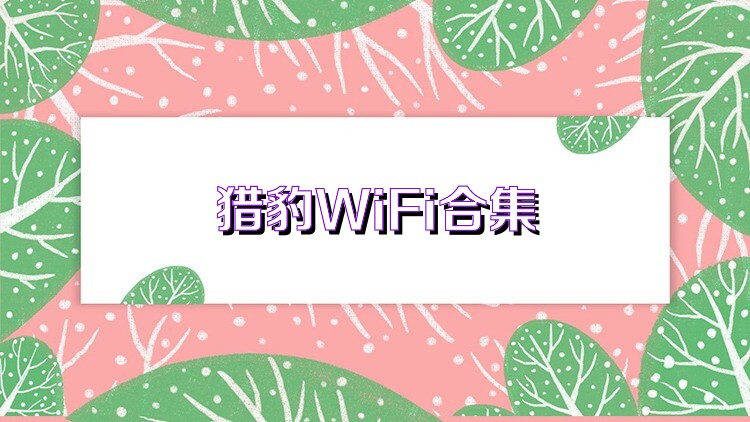 猎豹WiFi合集