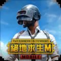 pubg绝地求生国际服