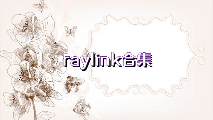 raylink合集