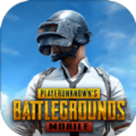 pubg国际体验服(PUBG MOBILE)