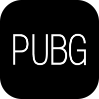 pubg天白直装