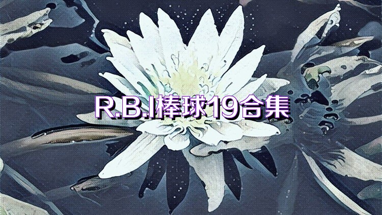 R.B.I棒球19合集