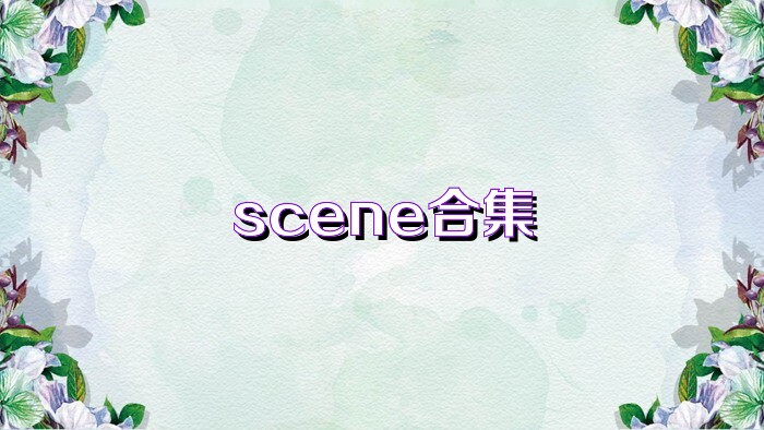 scene合集