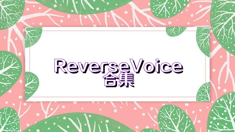 ReverseVoice合集