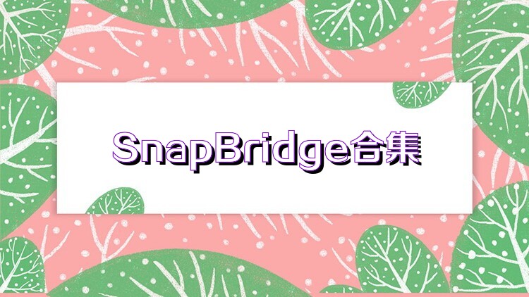 SnapBridge合集