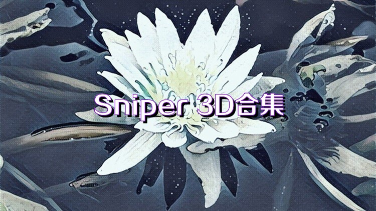 Sniper 3D合集