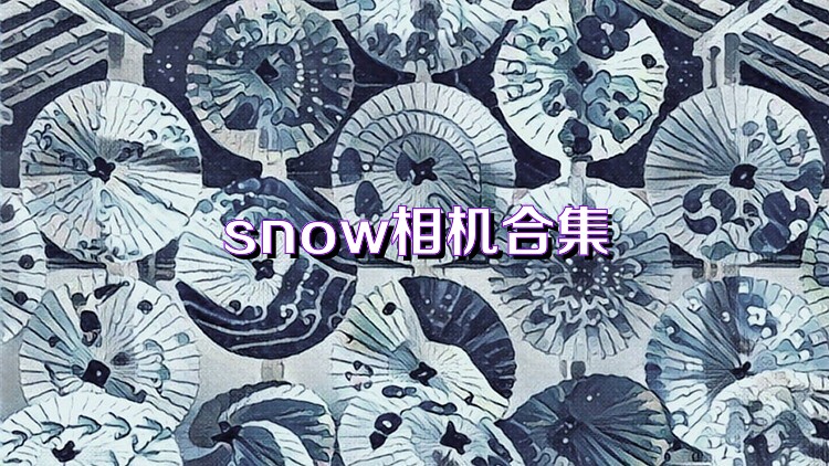 snow相机合集