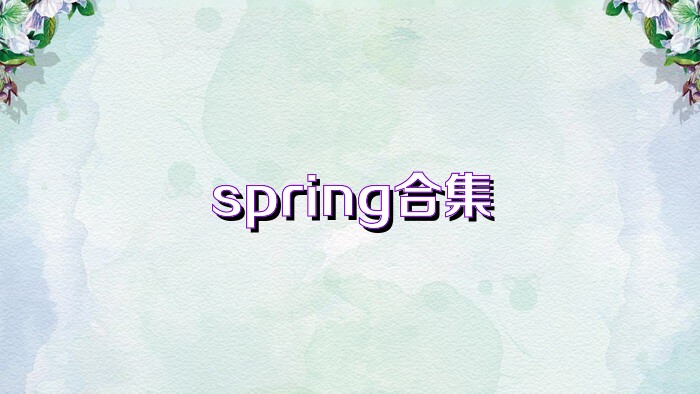 spring合集