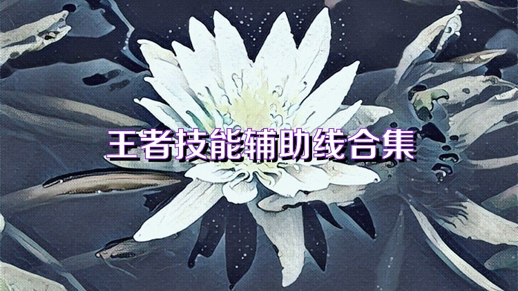 王者技能辅助线合集