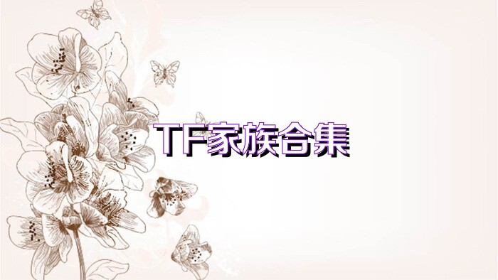 TF家族合集