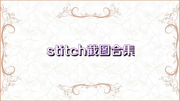 stitch截图合集