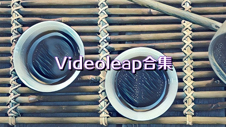 Videoleap合集