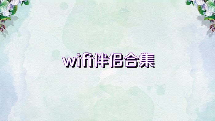 wifi伴侣合集