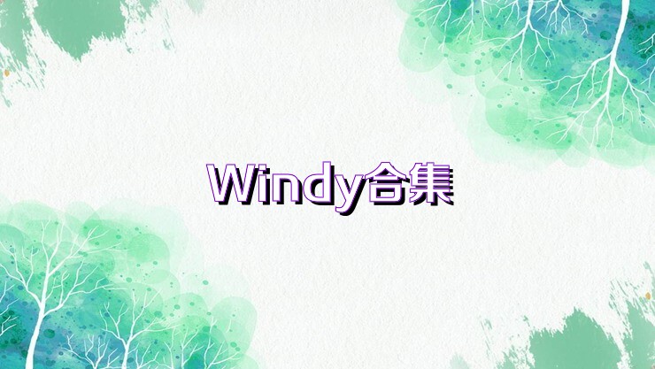 Windy合集