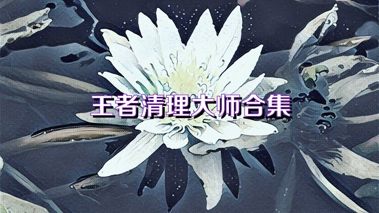 王者清理大师合集