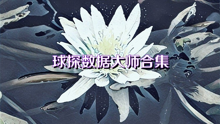 球探数据大师合集