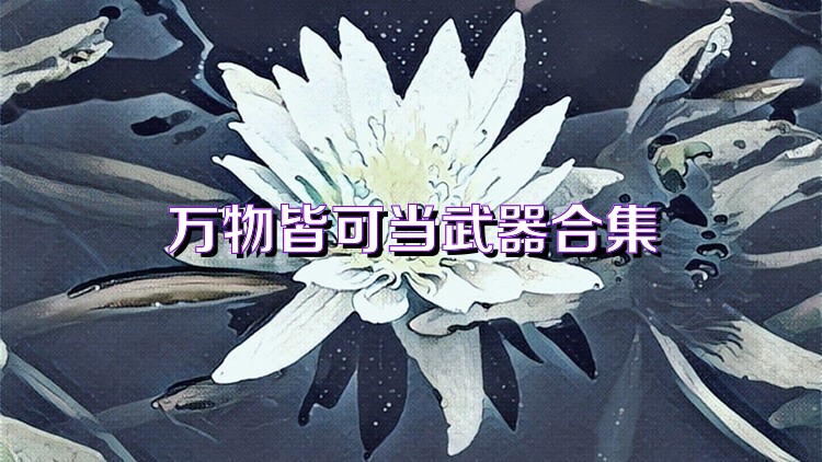 万物皆可当武器合集