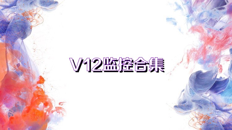 V12监控合集