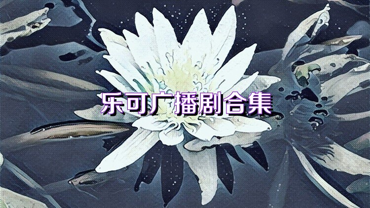 乐可广播剧合集