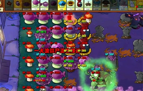 PVZ杂交版益智模式忧郁咖啡豆3通关详解