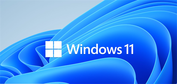 windows11家庭版和专业版有什么区别