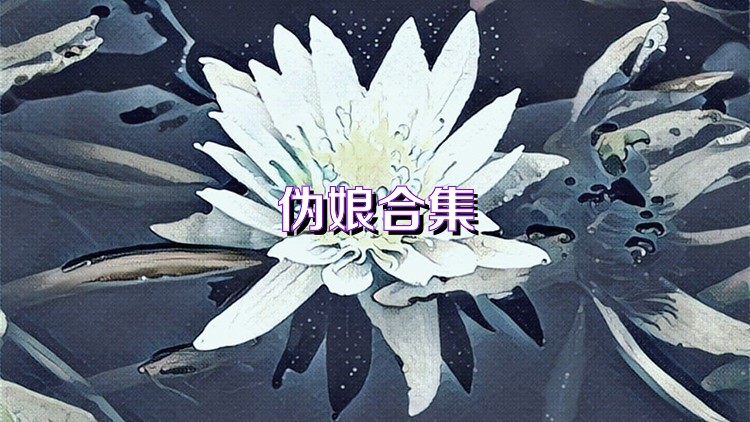 伪娘合集